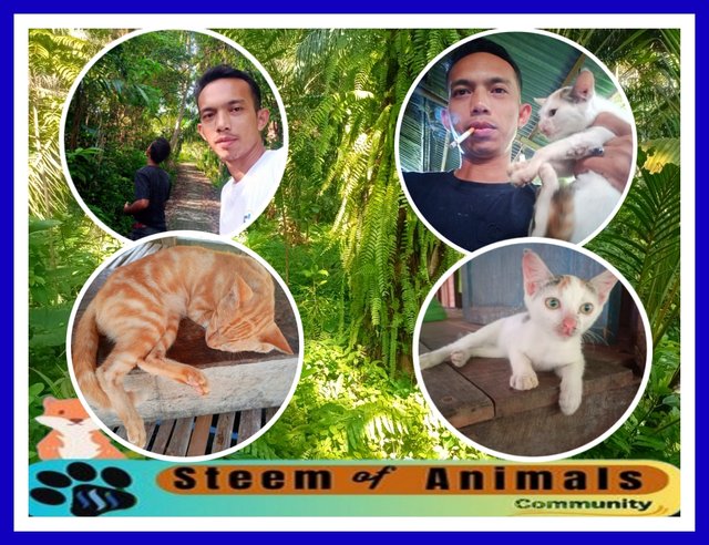 PicsArt_12-25-07.04.49.jpg