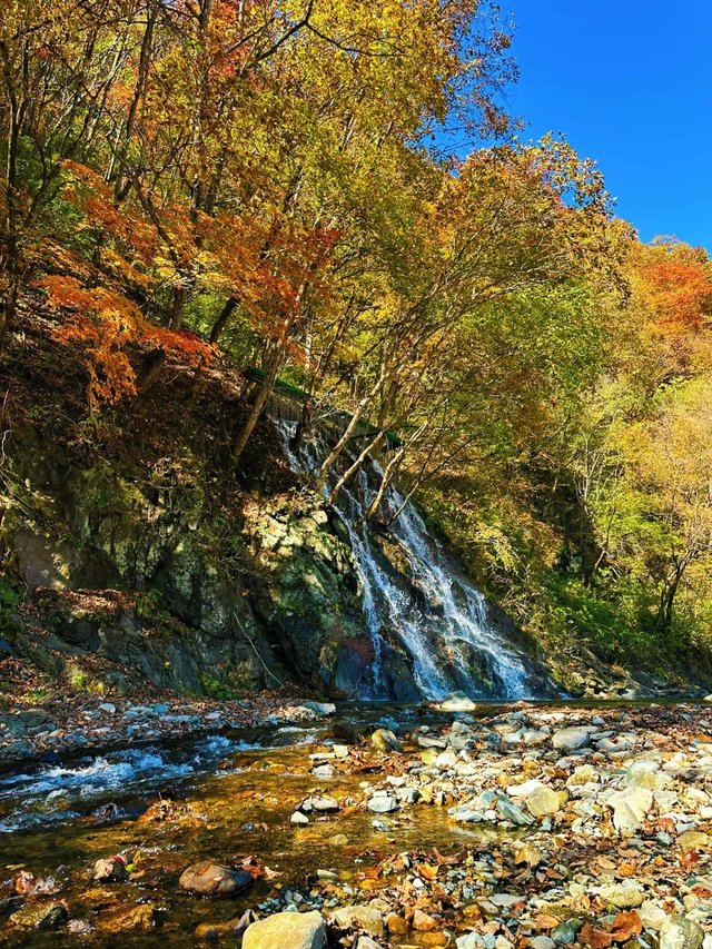 抚顺清原·筐子沟的红叶已经红咯_9_流浪在夏天_来自小红书网页版.jpg