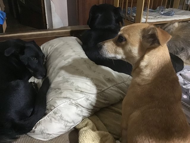 IMG_0421.jpeg