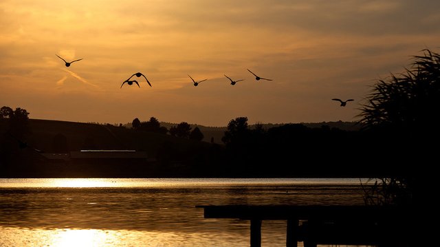 9447581806-sunset-over-lake-seeburg-eichsfeld (FILEminimizer).jpg