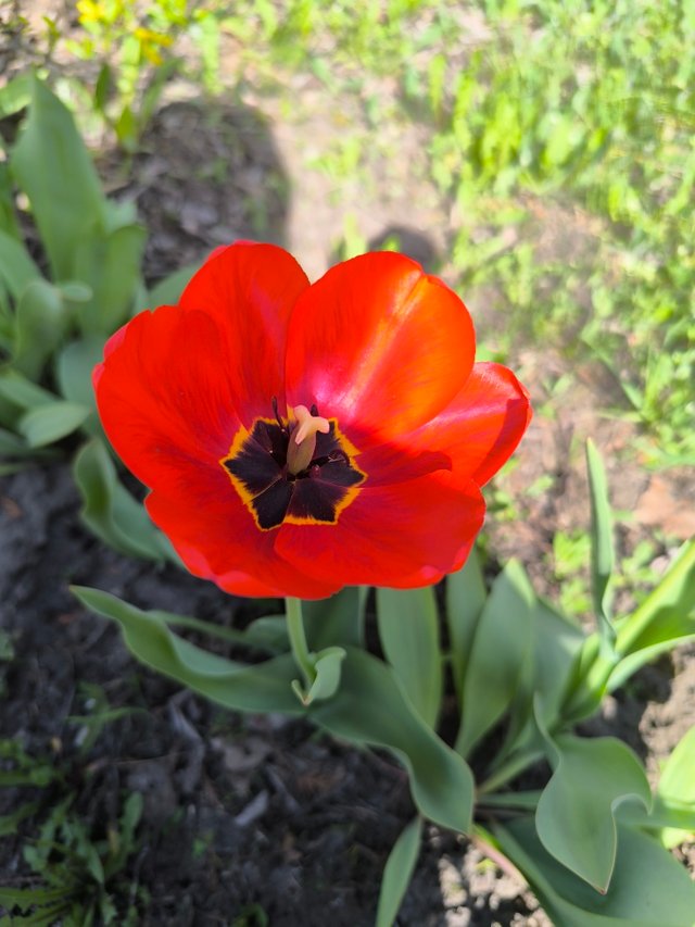 IMG_20250422_094947.jpg