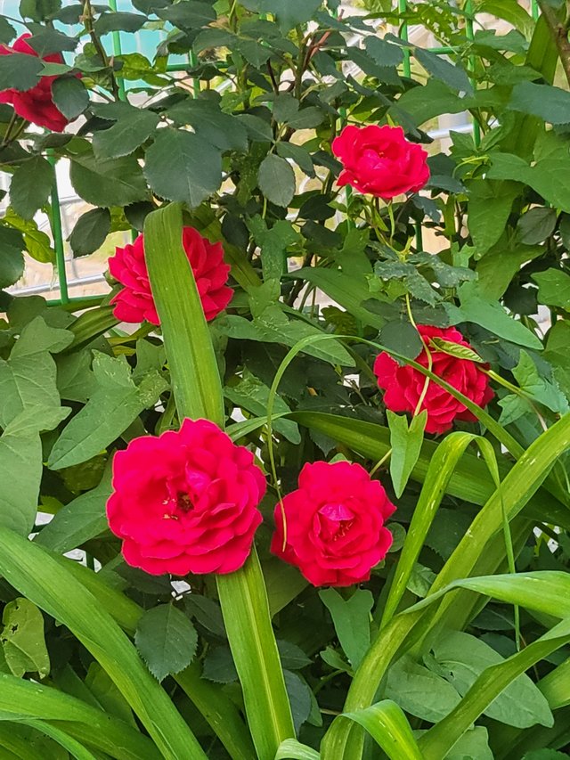 1000019919.jpg