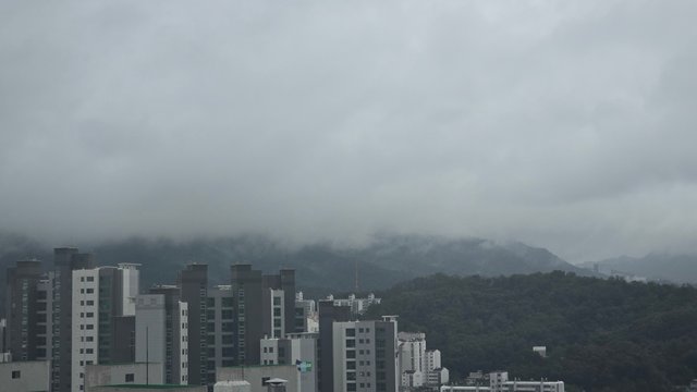 1000136091.jpg
