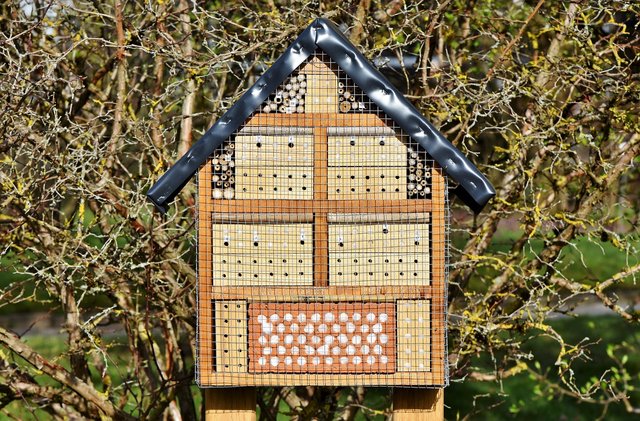 insect-hotel-3289687_1280.jpg
