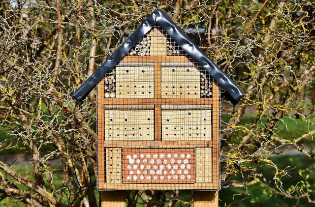 insektenhotel_insect-hotel-3289687_1280.jpg