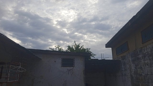IMG_20250426_063946.jpg