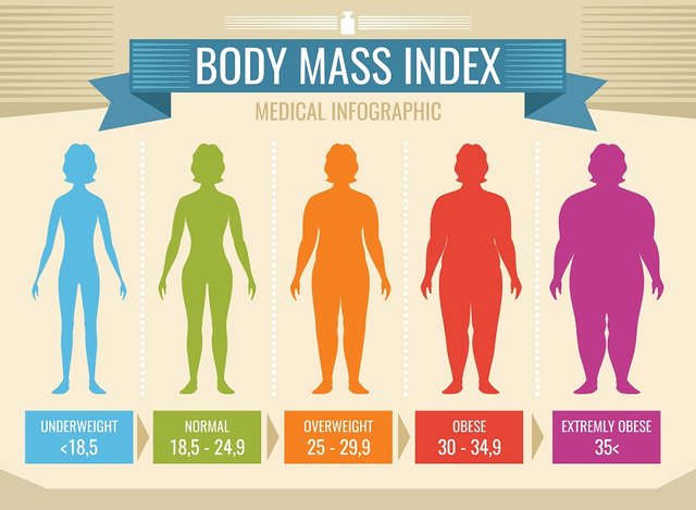 How to calculate BMI accurately.jpg