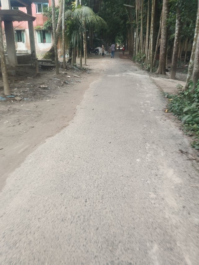 1000027158.jpg