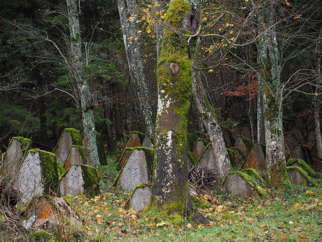 military-cemetery-779864_1920.jpg