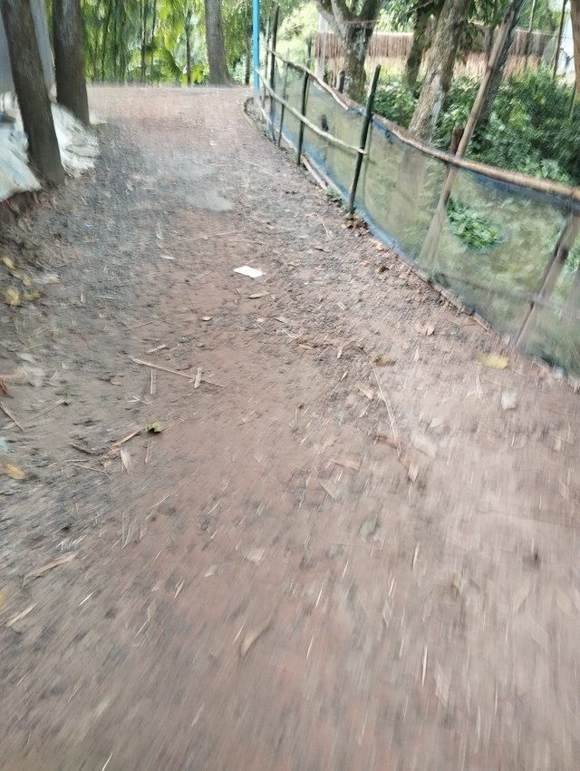 1000030164.jpg