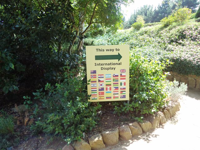 DSC02239.JPG