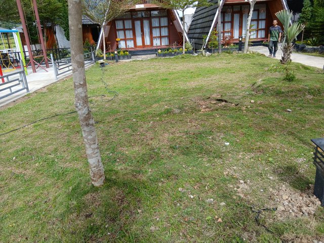 20250418_151556.jpg