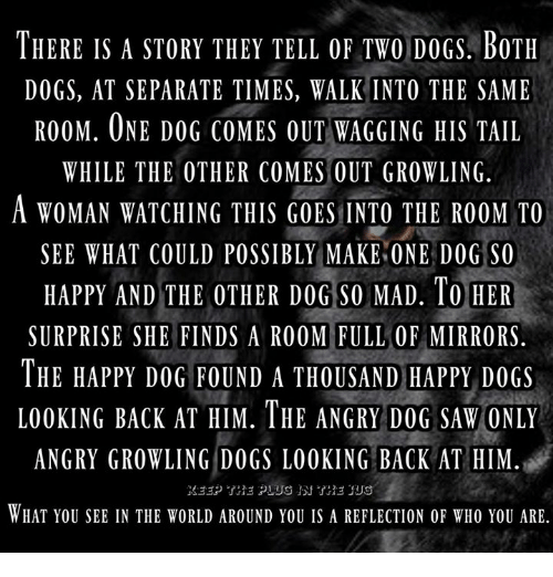 there-is-a-story-they-tell-0f-two-dogs-both-8675160.png