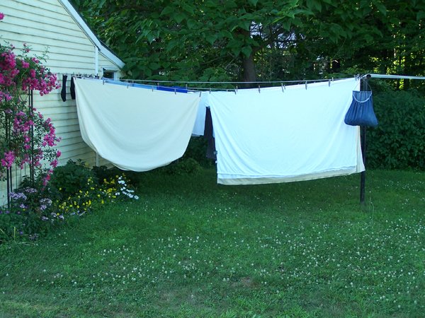 Laundry on line crop July 2019.jpg