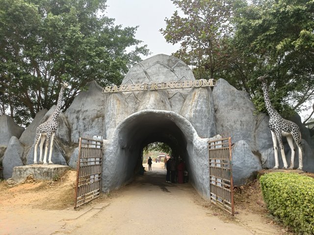 IMG20250103113337.jpg