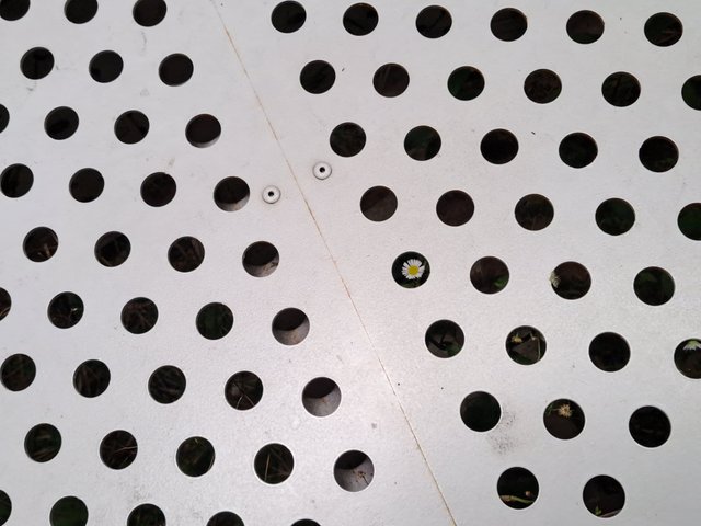 20250804_204259.jpg