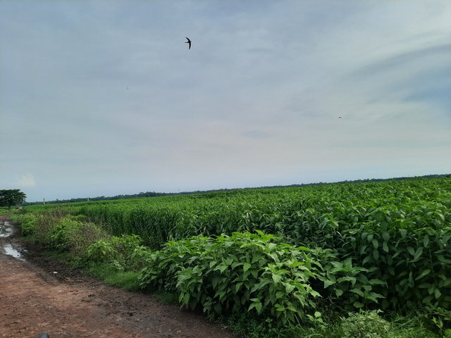 20250530_162254.jpg