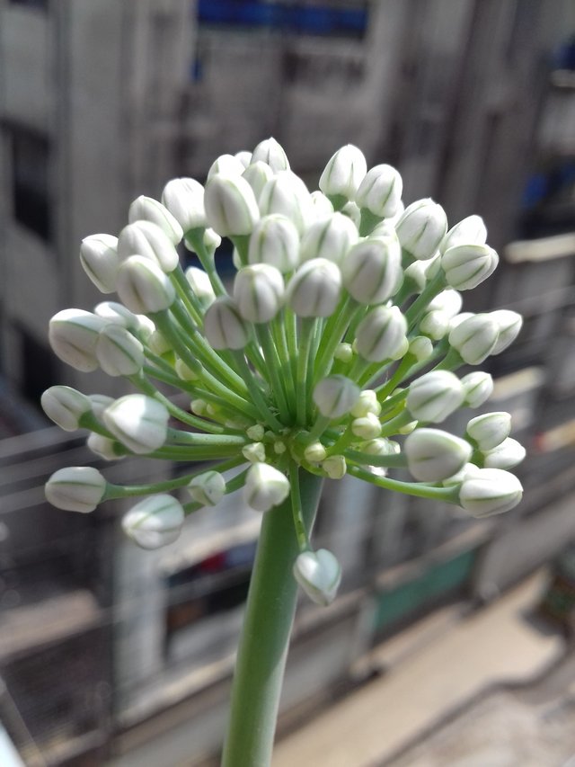 20190412_095023.jpg