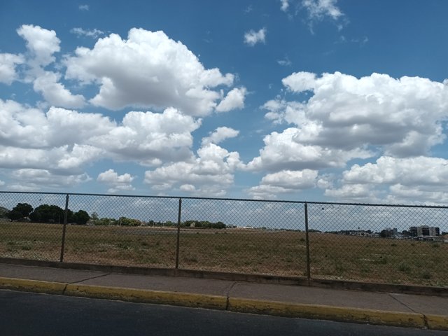 20250412_132205.jpg