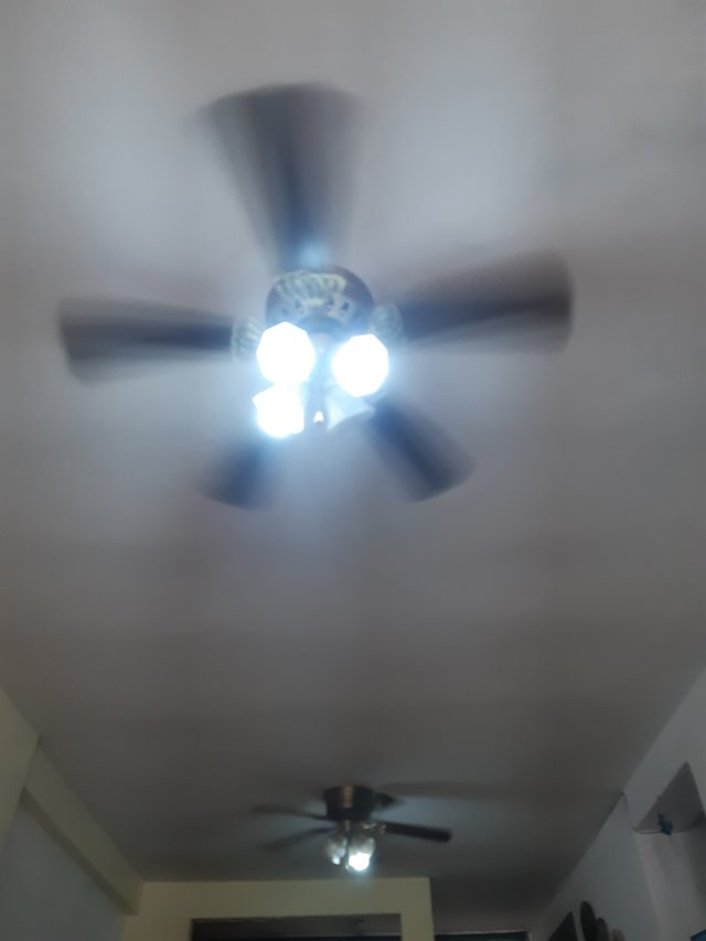20250517_090244.jpg