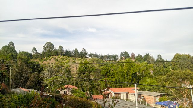 IMG_20250916_164329394.jpg