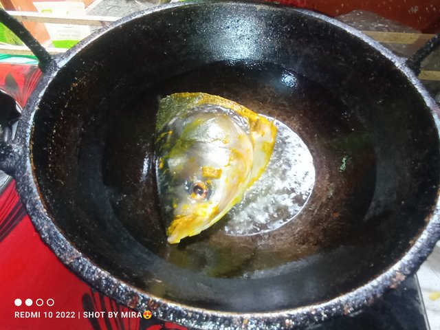 IMG_20251006_132306.jpg