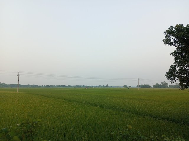 1000081941.jpg