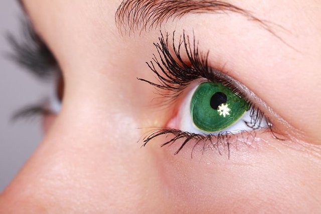 eyes-green-eye-nice-eyes-woman-women-s-day-green-eyes.jpg