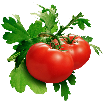 11-2-tomato-png-pic.png