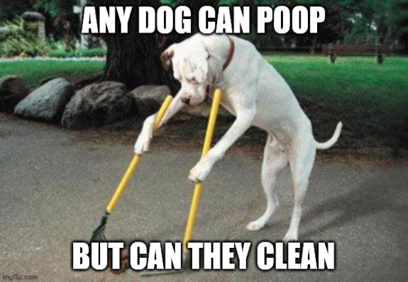 Screenshot_2020-04-06 Dog poop Meme Generator - Imgflip.png