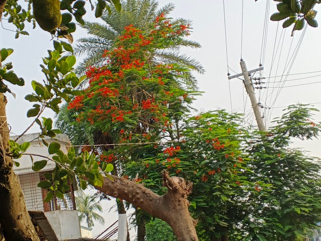 IMG_20250603_171418_307.jpg