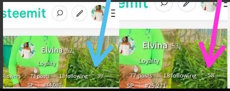 Screenshot_20220905-141954.jpg