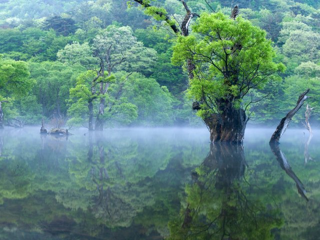 Juwangsan-National-Park-GettyImages-591392406.jpg