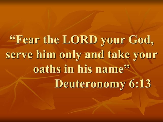 Spiritual devotion. Fear the LORD your God, serve him only and take your oaths in his name. Deuteronomy 6,13.jpg