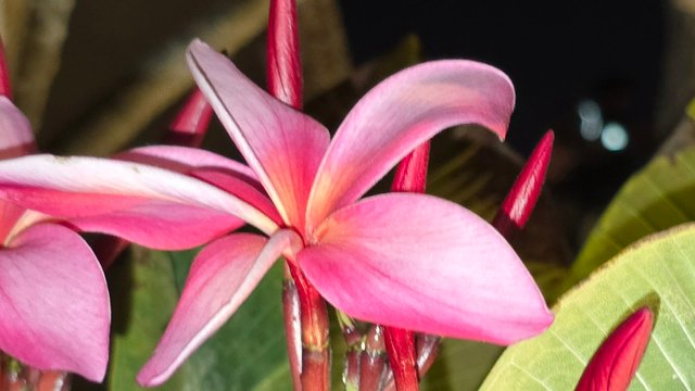 20250405_201040.jpg