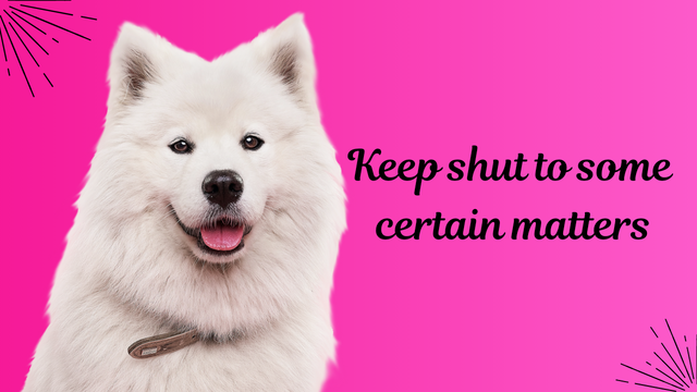 Pink And White Minimal Dog Training YouTube Thumbnail _20241006_074528_0000.png