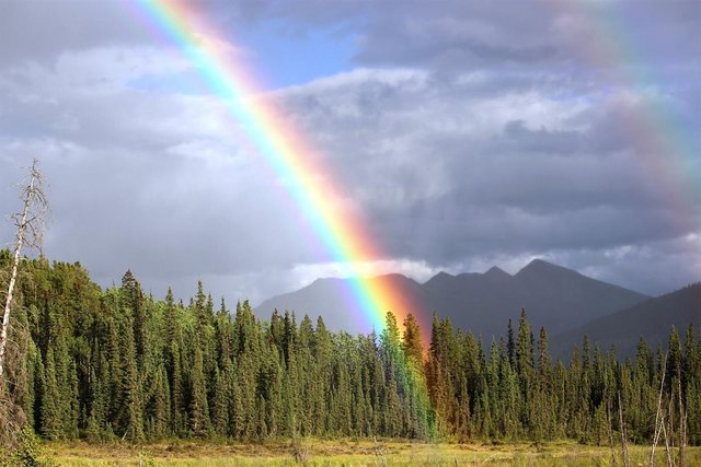 rainbow-436183_1280.jpg