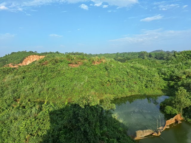 20241022_073200.jpg