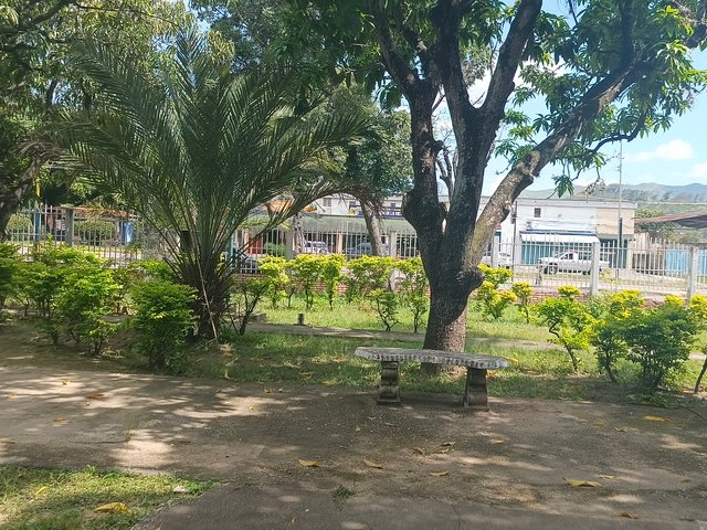 1000614155.jpg