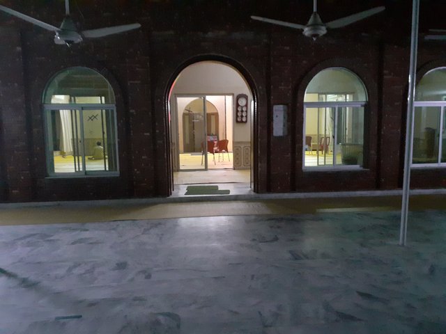 20250517_195259.jpg
