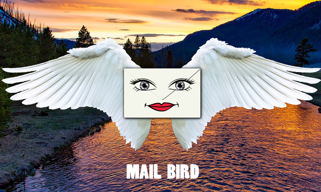 Mail_bird.png