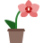 icons8-orchid-48.png