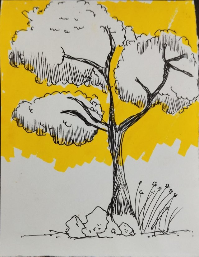 tree.jpg