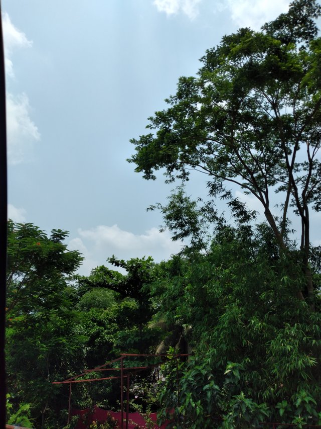 20250609_115918.jpg