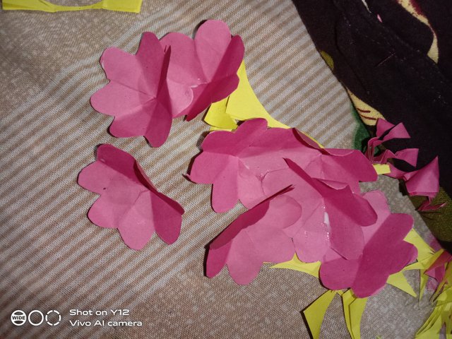 IMG_20250607_215630.jpg