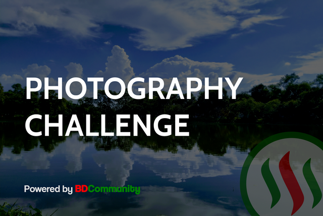 photography-contest.png