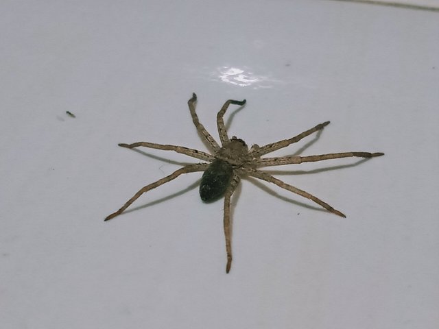 IMG20250329041003.jpg