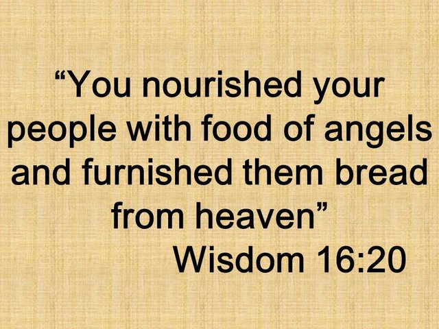 The manna in the Bible. You nourished your people with food of angels and furnished them bread from heaven. Wisdom 16,20.jpg