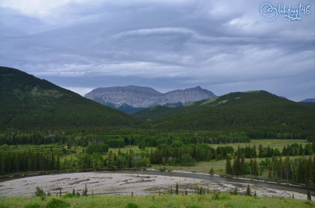 kananaskis6.jpg