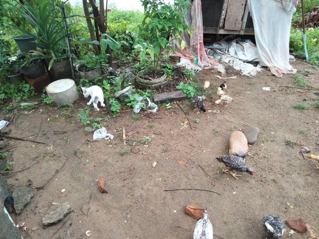 IMG20250504112308.jpg